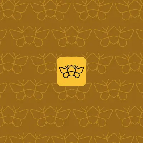 Perfect Palinception Rare Sats